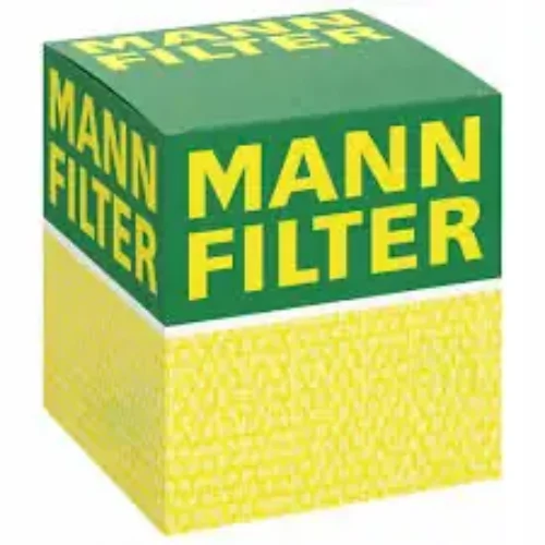 mann filter c22029